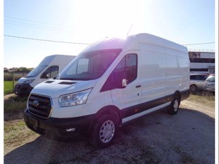 FORD Transit 350 2.0TDCi EcoBlue 170CV PL-SL-TA Furg. Jumbo Trend