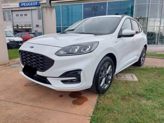 FORD Kuga 1.5 EcoBoost 150 CV 2WD ST-Line